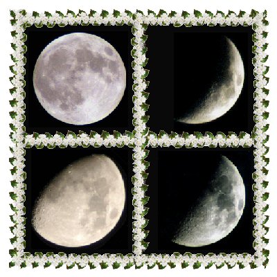 Phases of the Moon