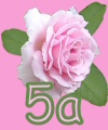 5a