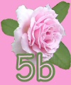 5b