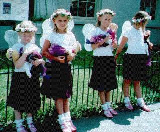 Four Flower Fairies