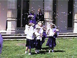 Fairy Bubbles