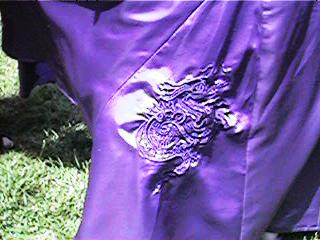 Dragon dress